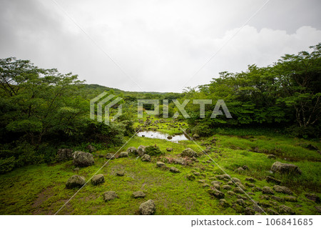 1100 Hill Wetland, a famous tourist attraction on Jeju Island, South Korea 106841685
