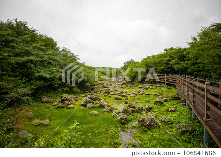 1100 Hill Wetland, a famous tourist attraction on Jeju Island, South Korea 106841686