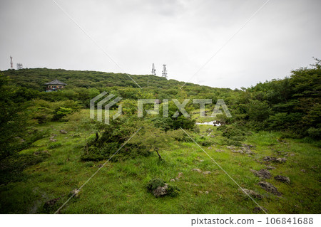 1100 Hill Wetland, a famous tourist attraction on Jeju Island, South Korea 1100 Hill Wetland, a famous tourist attraction on Jeju Island, South Korea 106841688