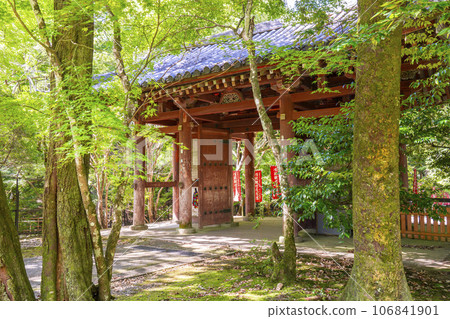 Kyoto Daigoji Temple Nichigetsu Gate Summer Season 106841901