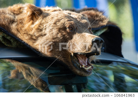 Close-up of a stuffed brown bear with its mouth open. hunter trophy 106841963