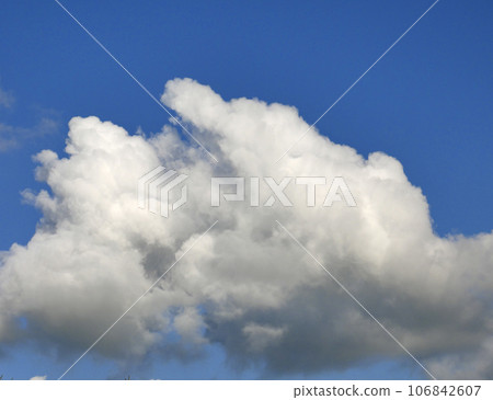 White and grey cumulus clouds background over the blue summer sky background White and grey cumulus clouds background over the blue summer sky background 106842607