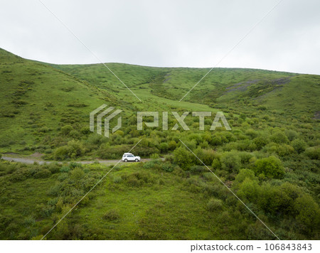 Trip in the high altitude beautiful grassland and flowers, China 106843843