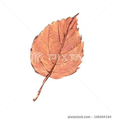 Watercolor realistic orange beautiful autumn set with leaf. Hand-drawn illustration isolated on white background. Perfect for menu cafe, template eco natural food, cooking, packing food, card 106844184