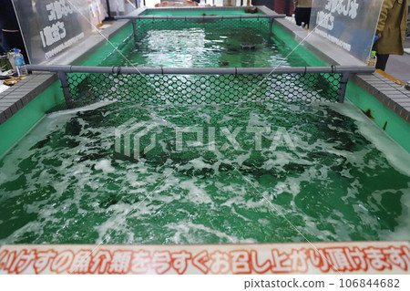 Roadside Station Maizuru Port Toretore Center 106844682