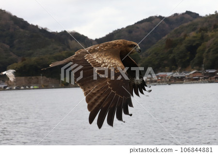 船谷郡、伊根町、海邊的京都 106844881
