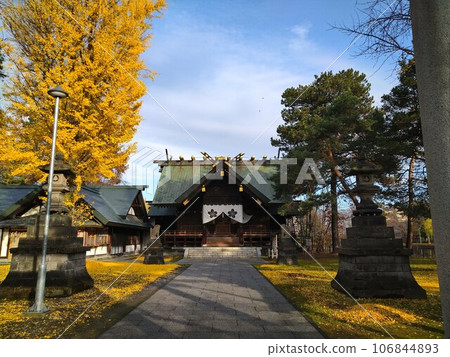 yellow grounds 106844893