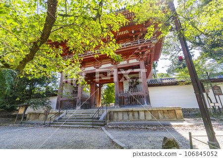 Kyoto Daigoji Temple Nishidaimon (Niomon) Summer season Kyoto Daigoji Temple Nishidaimon (Niomon) Summer season 106845052