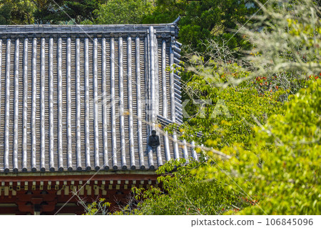 京都 醍醐寺 西大門 (仁王門) 夏季 京都 醍醐寺 西大門 (仁王門) 夏季 106845096