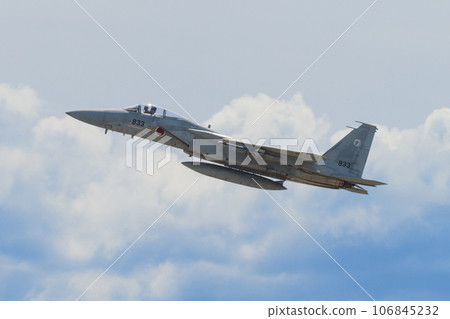 航空自衛隊第303中隊F-15J鷹在雲端 航空自衛隊第303中隊F-15J鷹在雲端 106845232