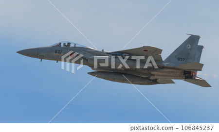 航空自衛隊第303中隊F-15J鷹升空 航空自衛隊第303中隊F-15J鷹升空 106845237