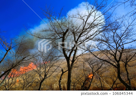 大室山燃燒的山景 大室山燃燒的山景 106845344