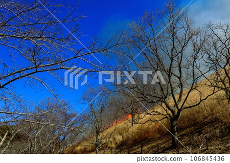 大室山燃燒的山景 大室山燃燒的山景 106845436