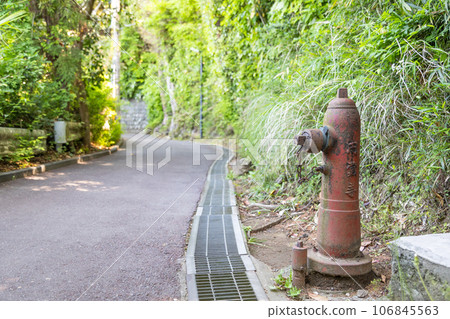 An image of a retro fire hydrant that blends into the greenery An image of a retro fire hydrant that blends into the greenery 106845563