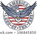 american, eagle, bird 106845850