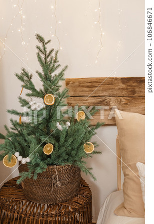 Cozy interior decorated for Christmas in Scandinavian style. Live fir trees decorated with natural ornaments made of dried oranges Cozy interior decorated for Christmas in Scandinavian style. Live fir trees decorated with natural ornaments made of dried oranges 106846671