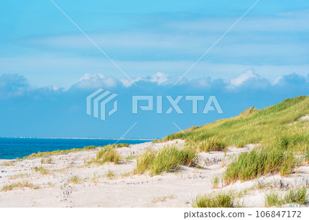 Landscape on Sylt island with marram grass dunes and a blue sky Landscape on Sylt island with marram grass dunes and a blue sky 106847172