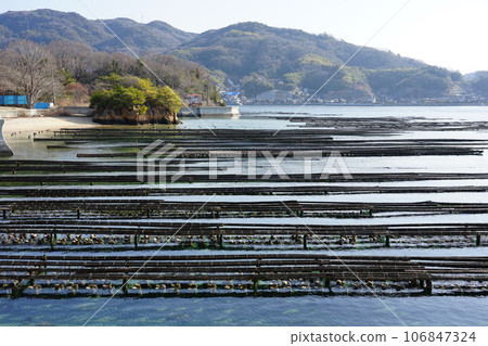 傳承安德天皇傳說的喜喜小島：抑制架上的牡蠣養殖（廣島縣江田島市） 106847324