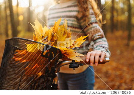 Autumn bouquet of yellow and orange leaves lying in a bicycle basket in a sunny autumn park. 106848026