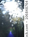 Masanosha 106848764