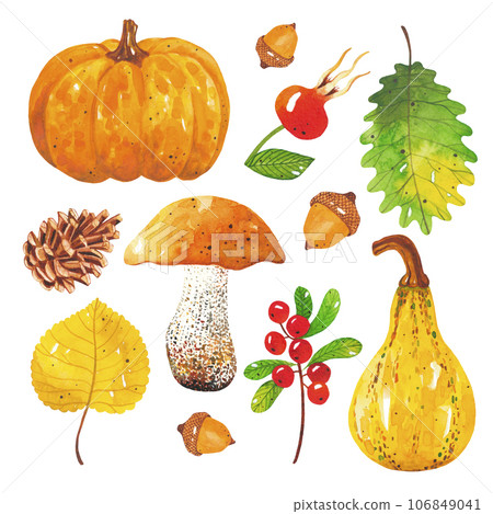 Watercolor hand-drawn set of autumn harvest. Autumn mushroom, leaf, pumpkin, acorn, cone, rosehip, cranberry. A collection of elements from the forest and farm for invitation, poster, banner template 106849041