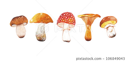 Watercolor hand drawn set of autumn mushrooms. Bright and colorful forest elements. A beautiful collection for Thanksgiving invitations, posters and banners. Autumn time. Harvest festival. 106849043