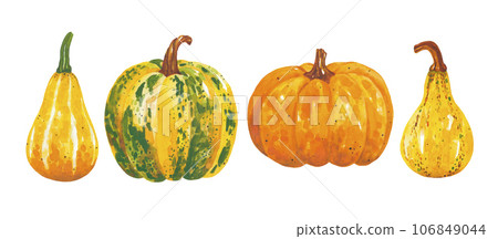 Watercolor hand drawn set of autumn pumpkins. Bright and colorful farm elements. A beautiful collection for Thanksgiving of Halloween invitations, posters and banners. Autumn time. Harvest festival. Watercolor hand drawn set of autumn pumpkins. Bright and colorful farm elements. A beautiful collection for Thanksgiving of Halloween invitations, posters and banners. Autumn time. Harvest festival. 106849044