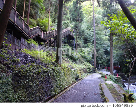 通往殺水瀑布的步道[神奈川縣足柄郡山北町平山]拍攝於2023年8月 106849889