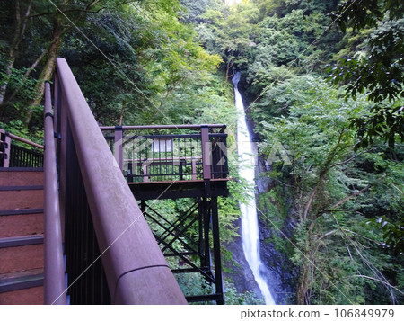 100 Famous Waters Shasui Falls [Hirayama, Yamakita-cho, Ashigarakami-gun, Kanagawa Prefecture] Photographed in August 2023 106849979