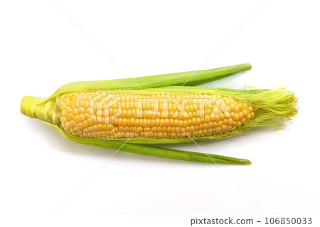 Fresh corn isolated on white background. 106850033