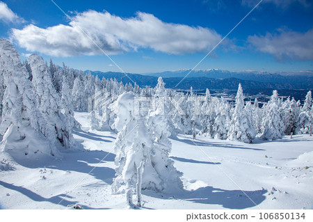 Blue sky and beautiful frost frost 4 106850134