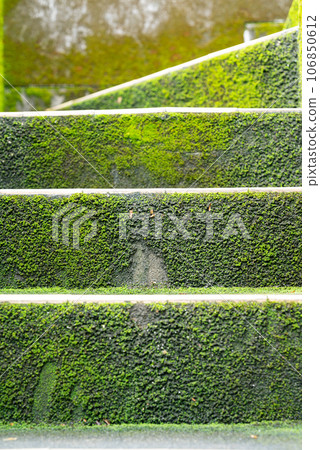 Mossy stairs 106850612