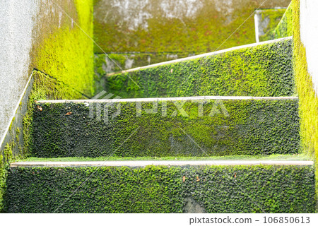 Mossy stairs 106850613