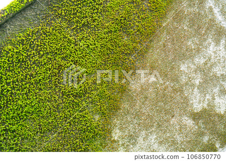 External wall with moss growing on it 106850770