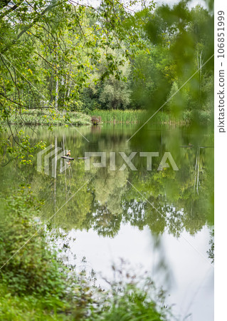 Pond in green forest. Idyllic landscape, scenic colorful nature Pond in green forest. Idyllic landscape, scenic colorful nature 106851999
