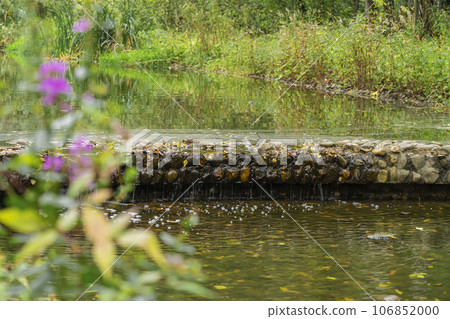 Tranquil small waterfall with stones and rapid in green forest 106852000