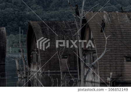 The fear of black birds and pensions 106852149