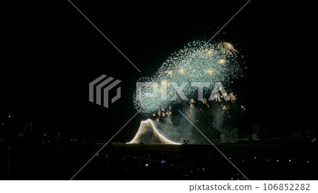 Fireworks blooming in the summer night sky Fireworks blooming in the summer night sky 106852282