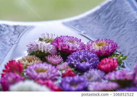 Flower basin Flower basin 106852522