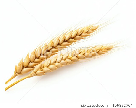 Golden Ear of Wheat Isolated on White Background. Generative ai 106852764