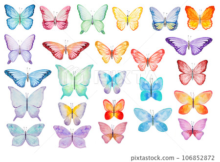 Watercolor colorful butterfles, isolated Illustrations set for summer stationery Watercolor colorful butterfles, isolated Illustrations set for summer stationery 106852872