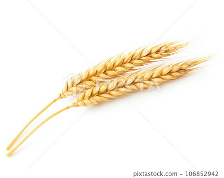Golden Ear of Wheat Isolated on White Background. Generative ai 106852942