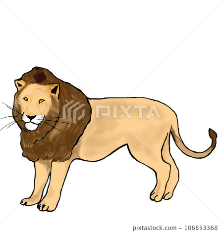 簡單寫實的獅子插畫 簡單寫實的獅子插畫 106853368