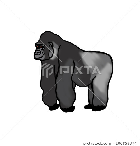 簡單寫實的大猩猩插畫 106853374