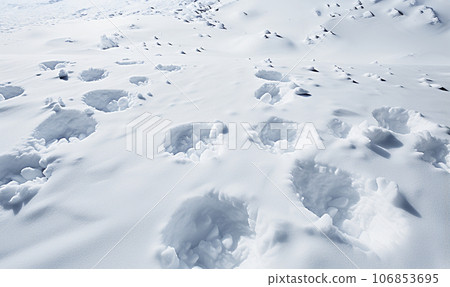 Winter snow. Snow texture Top view of the snow. Texture for design. Snowy white texture. Snowflakes. Natural white fresh snow top view with footh steps 106853695