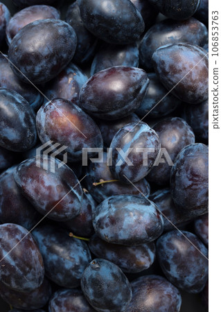 Background of ripe homemade plums close-up. Harvesting, healthy organic food 106853763