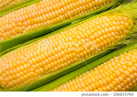 Sweet corn ears background. Harvesting, healthy organic food 106853765
