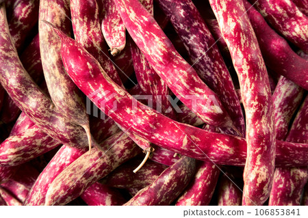 Cranberry beans. Fresh Organic Borlotti bean pods. Stylish modern food background. Magenta color. Creative foodstuff image. Grocery, dietary backdrop. Advertising, trendy magazine publication. Border 106853841