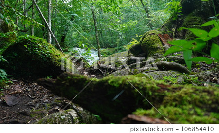 Okusease山谷 106854410