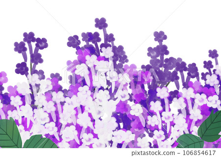 Skull flower card 2 Skull flower card 2 106854617